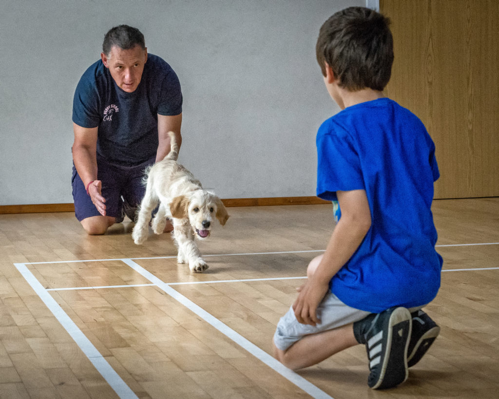 Puppy School Recall at Puppy Training Class